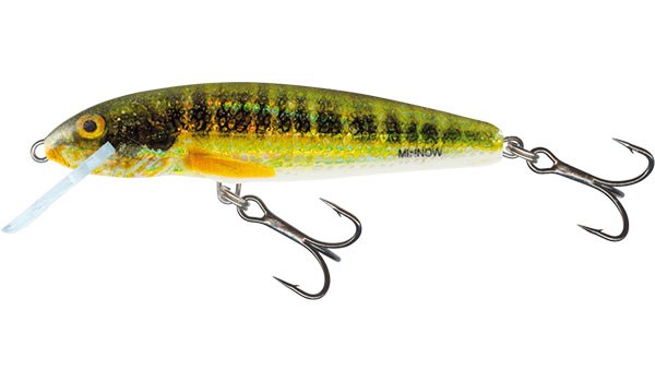 Salmo wobler minnow floating holo real minnow-5 cm 3 g